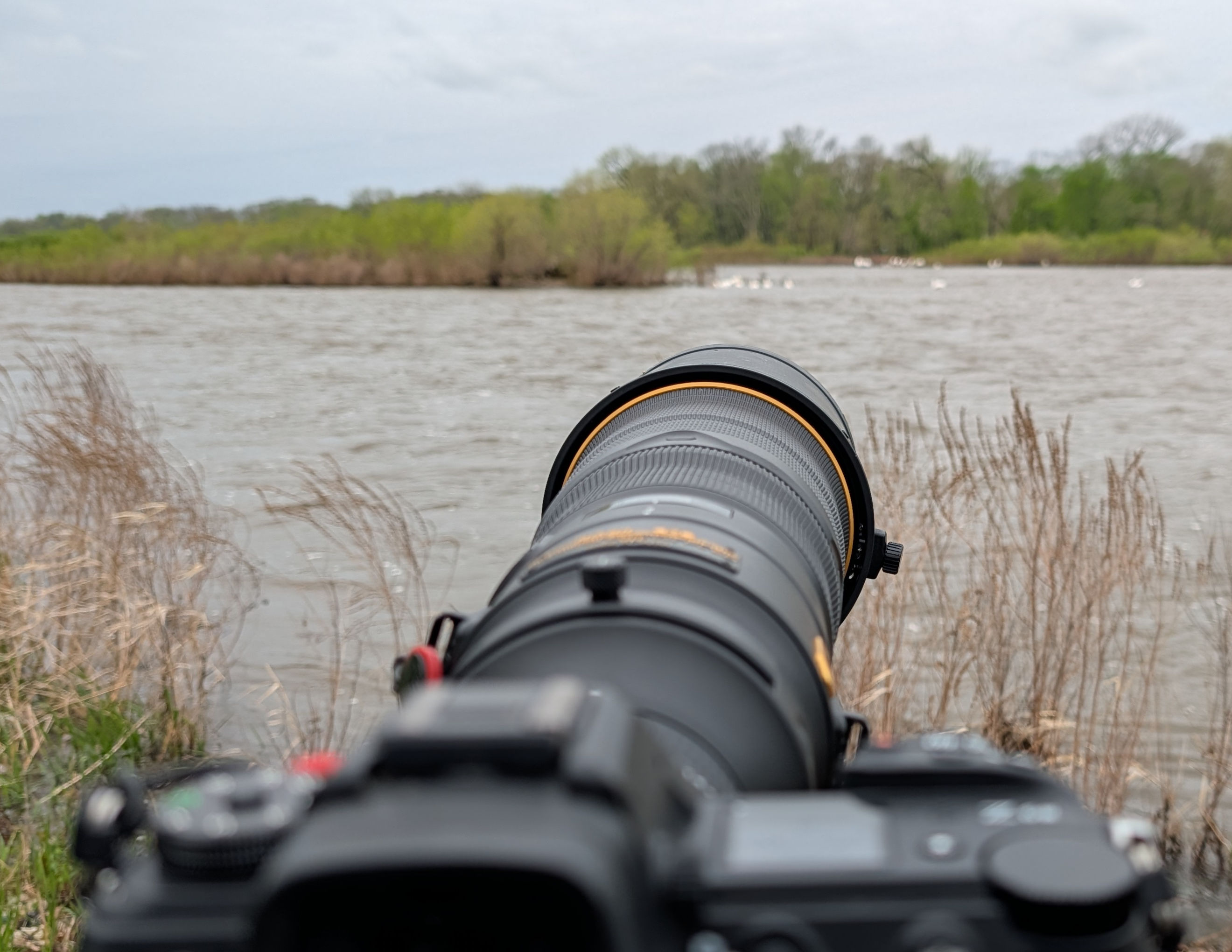 Nature Photography