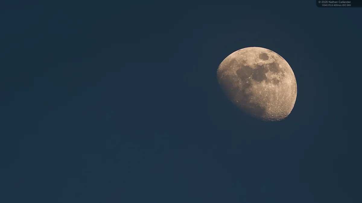 2026/06/20260426-NZ1_8599